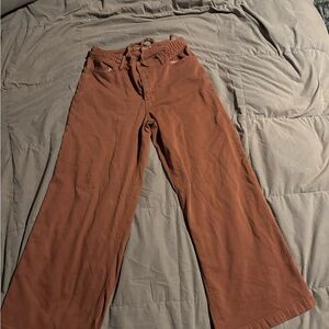 American Eagle Outfitters Terracotta Pants